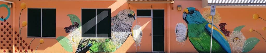 Mulga Parrot by Karine 's Art -KAWA, Mparntwe Street Art Festival 2024 (#msaf2024), Alice Springs NT