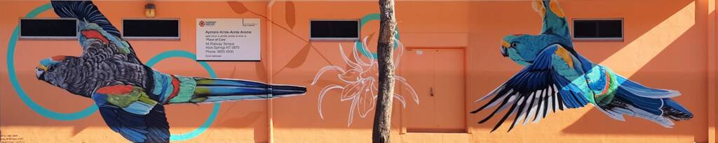 Mulga Parrot by Karine 's Art -KAWA, Mparntwe Street Art Festival 2024 (#msaf2024), Alice Springs NT