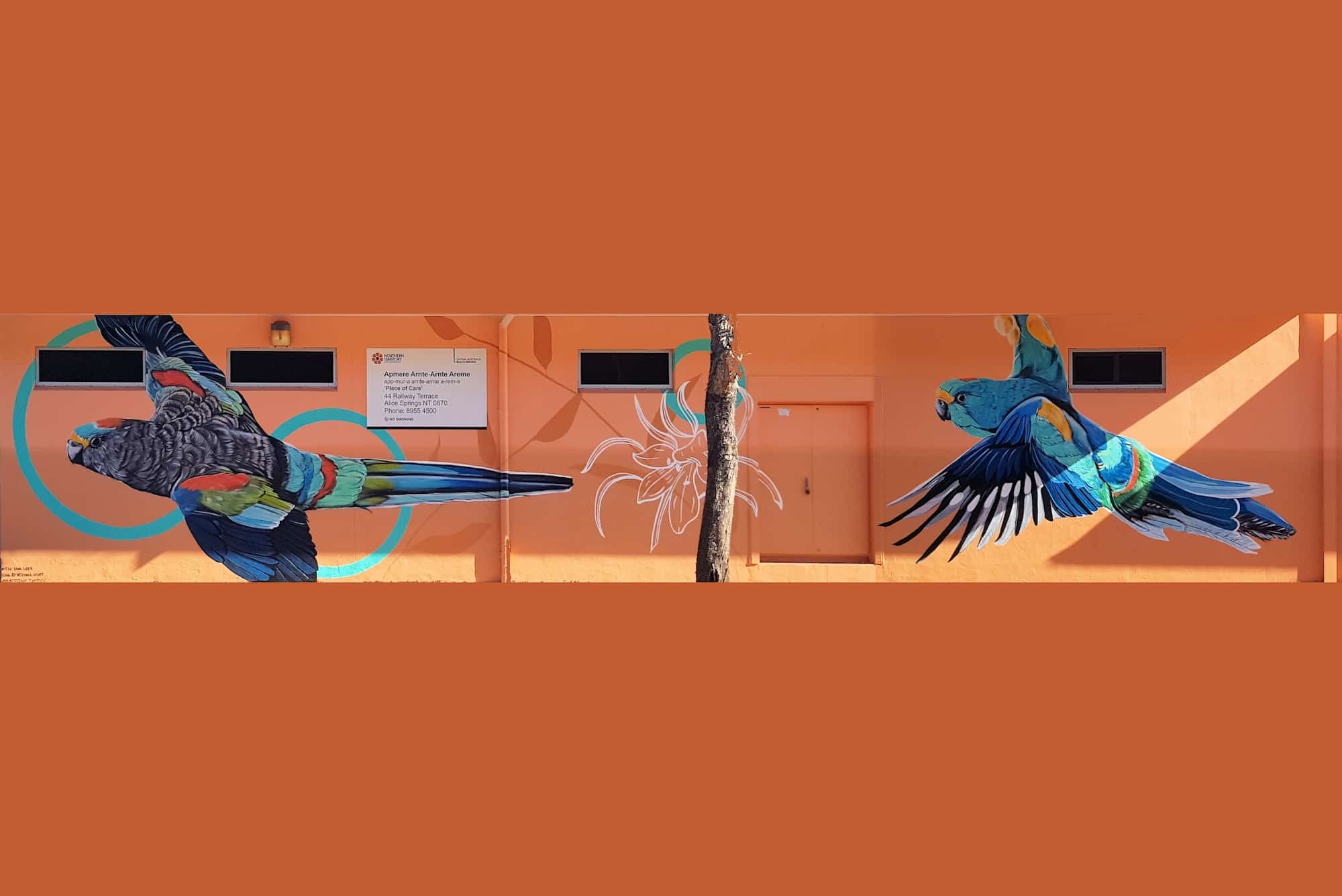 Mulga Parrot by Karine 's Art -KAWA, Mparntwe Street Art Festival 2024 (#msaf2024), Alice Springs NT