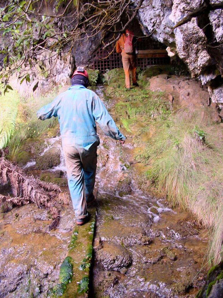 Croesus Cave, Tasmania