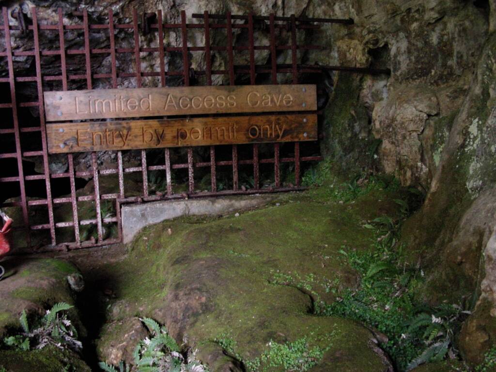 Croesus Cave, Tasmania
