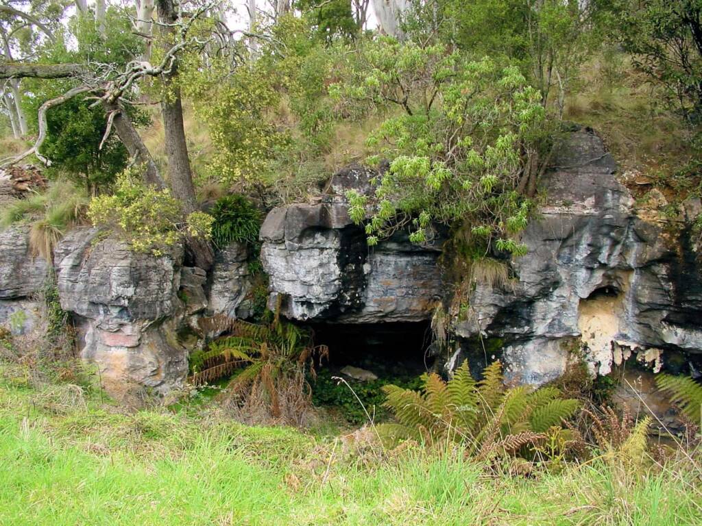On-route to Baldocks Cave, Tasmania