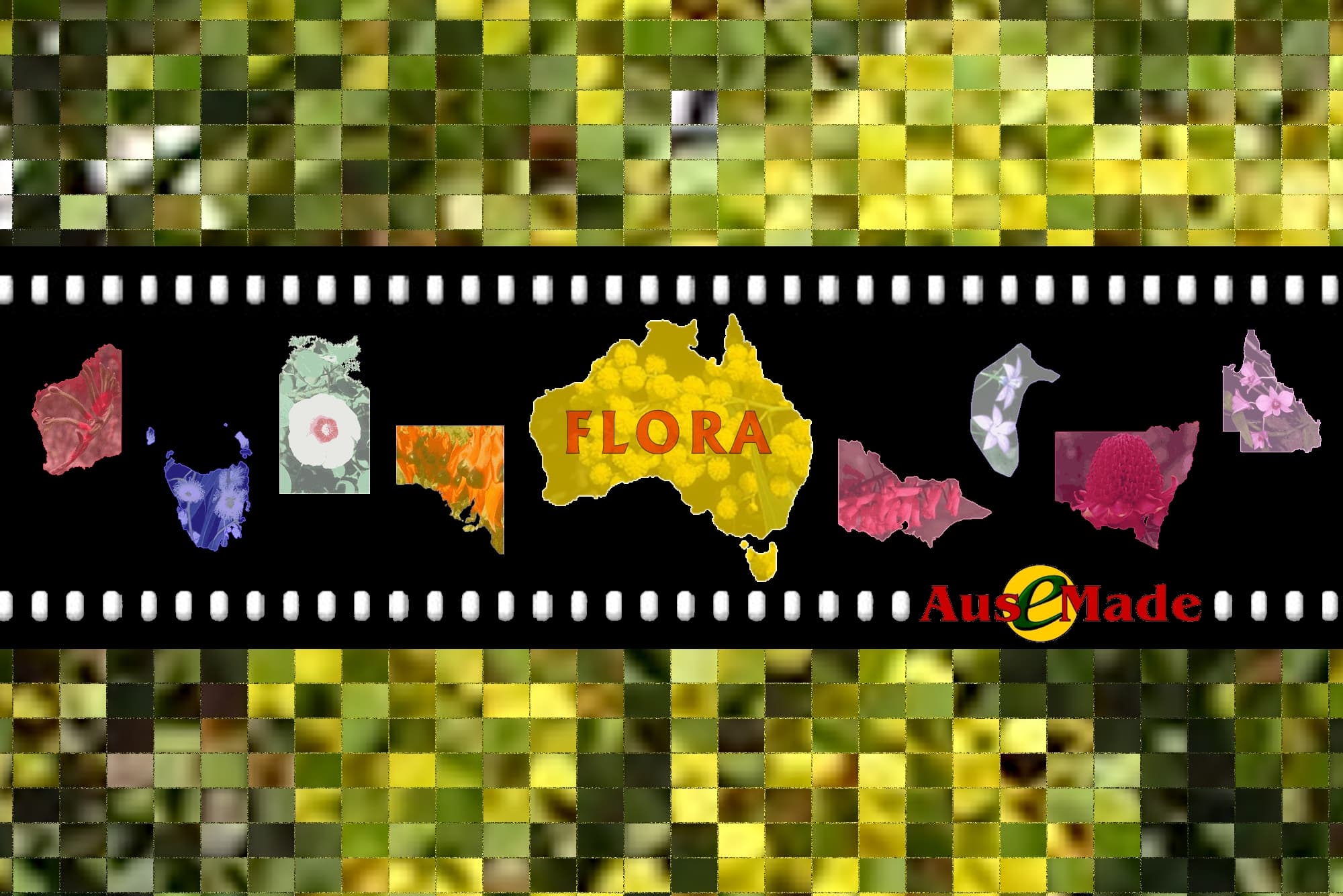 Flora Ausemade Australia