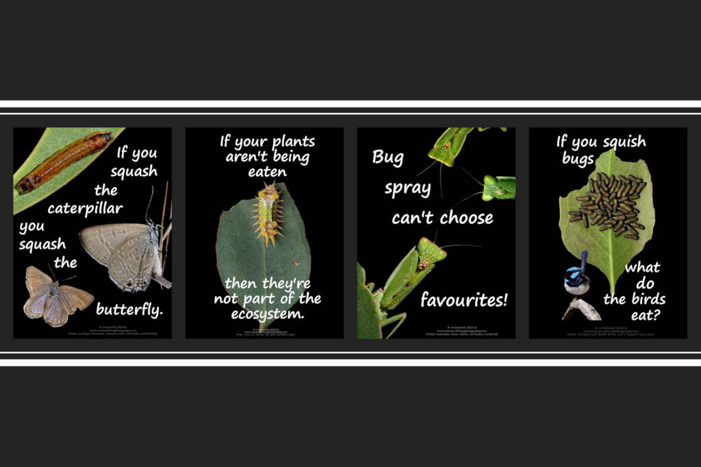 Stop killing the bugs posters © Marianne Broug