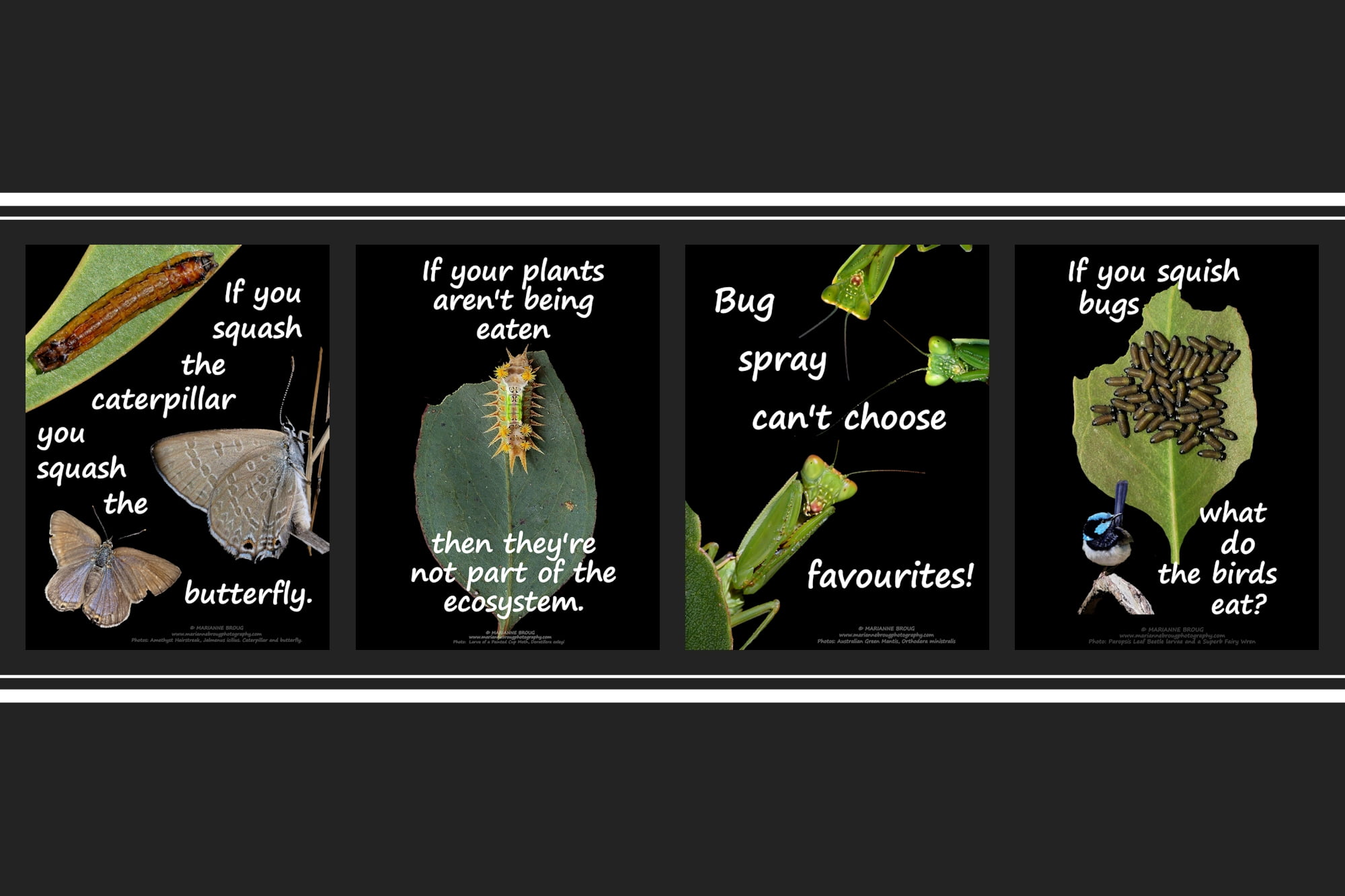 Stop killing the bugs posters © Marianne Broug