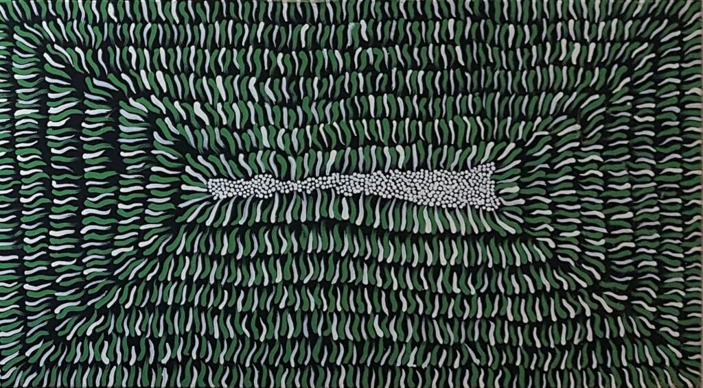 Closeup of Yalka Tjukurrpa (Bush Onion Dreaming), 2010 © Everlyn Nungarrayi Jugadai