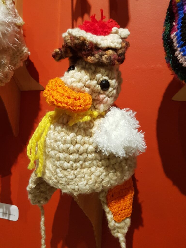 Chicken Little by Denise Carter, USA, Alice Springs Beanie Festival 2025