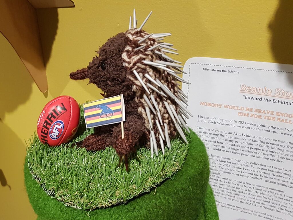 Edward the Echidna by Kristin Merritt, SA - Alice Springs Beanie Festival 2025