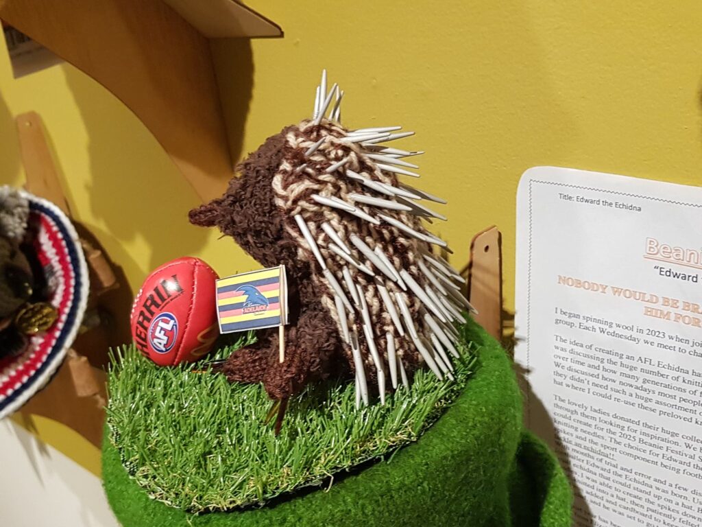Edward the Echidna by Kristin Merritt, SA - Alice Springs Beanie Festival 2025
