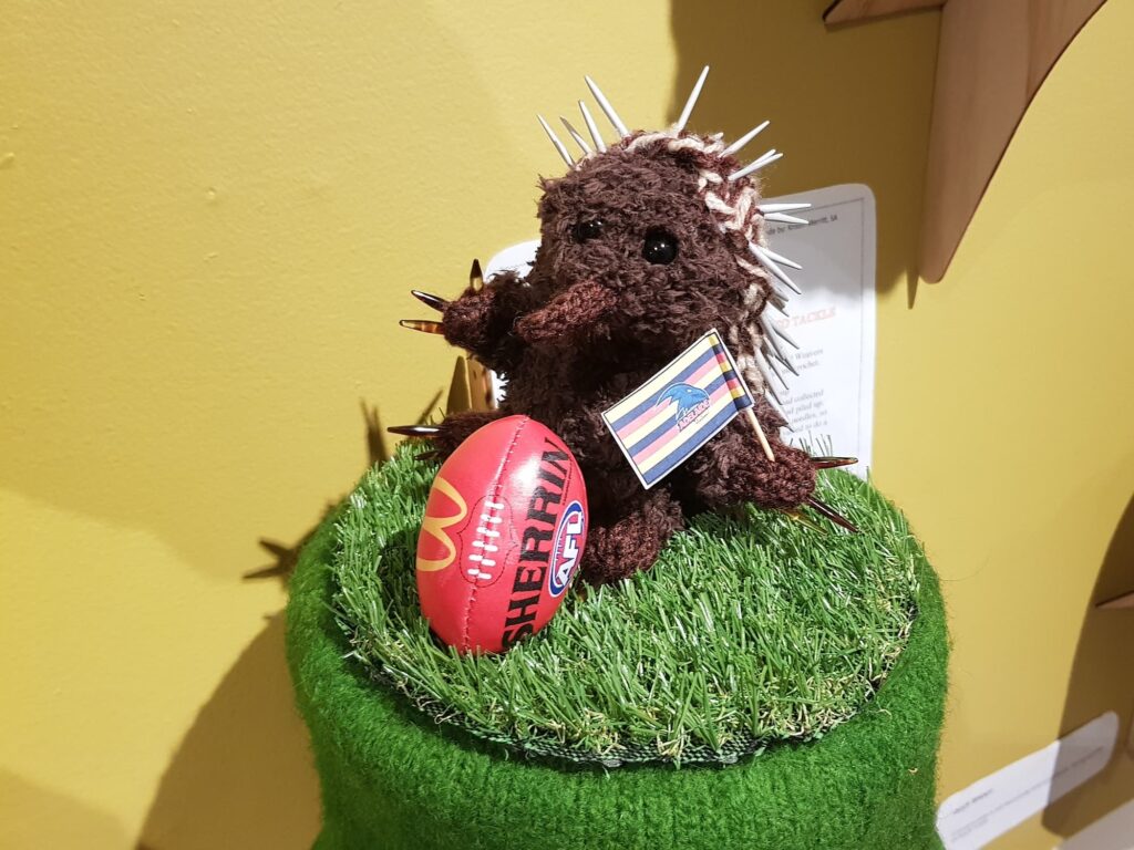 Edward the Echidna by Kristin Merritt, SA - Alice Springs Beanie Festival 2025