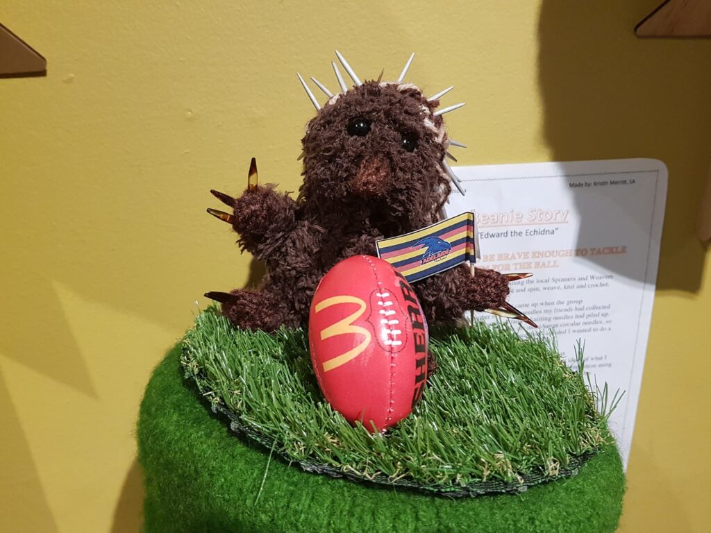 Edward the Echidna by Kristin Merritt, SA - Alice Springs Beanie Festival 2025