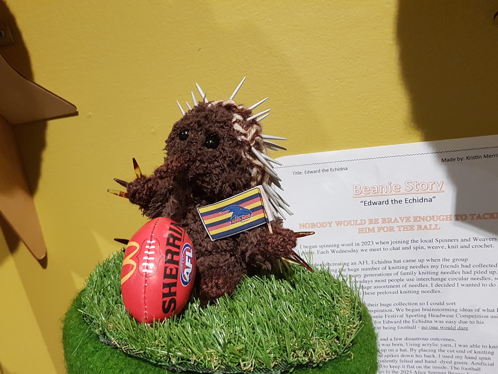 Edward the Echidna by Kristin Merritt, SA - Alice Springs Beanie Festival 2025