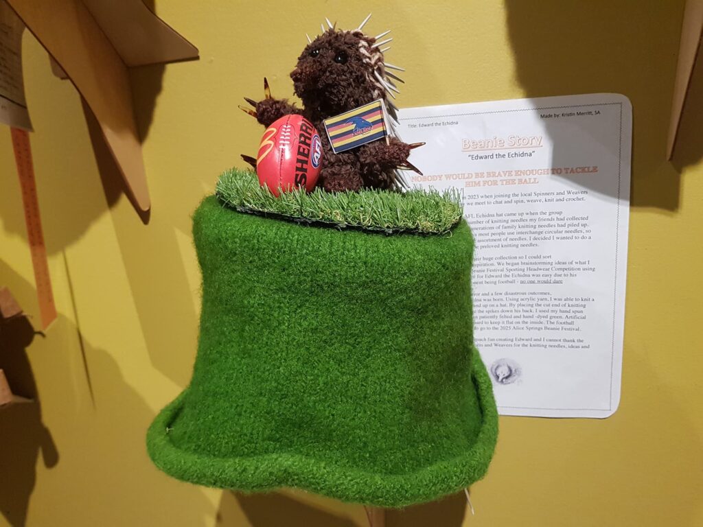 Edward the Echidna by Kristin Merritt, SA - Alice Springs Beanie Festival 2025