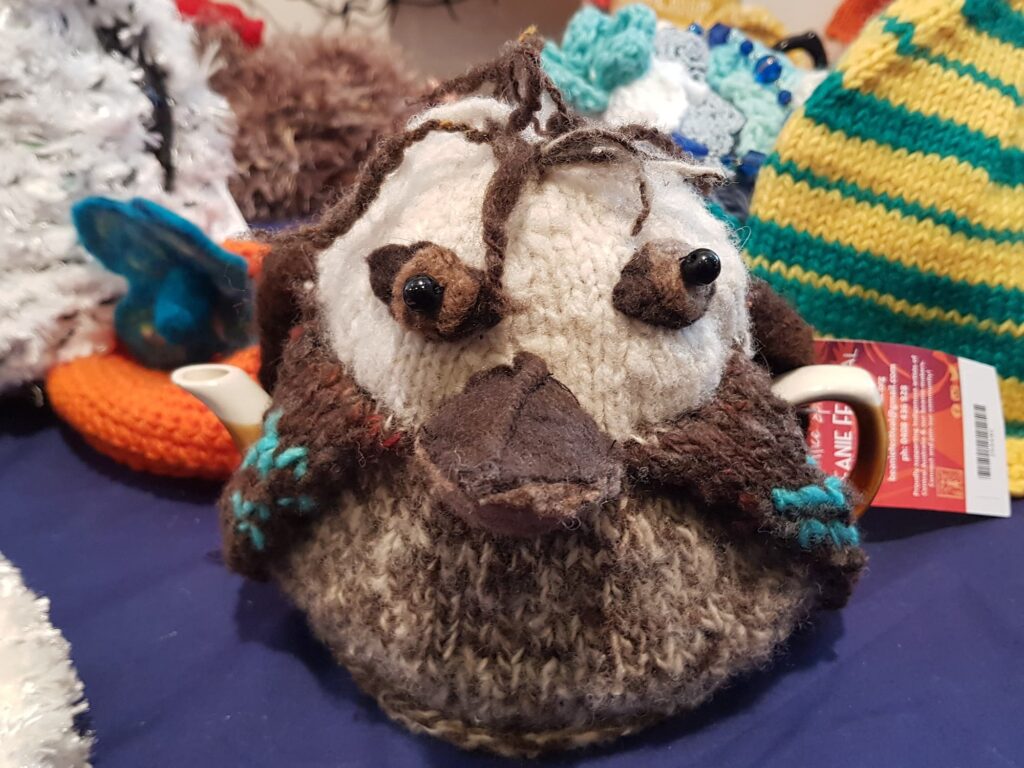"Malcolm" tea cosy by Eril Pickford, Melbourne VIC, Alice Springs Beanie Festival 2025
