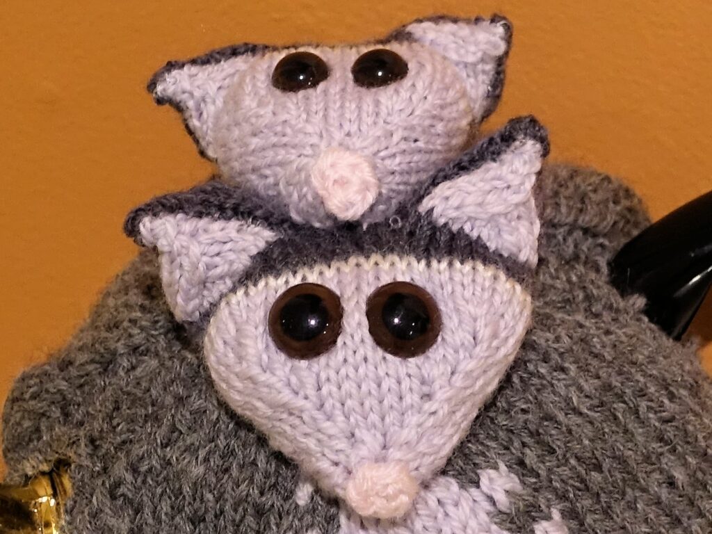 Mum and Me by Lyn Paterson, Healesville VIC, Alice Springs Beanie Festival 2025