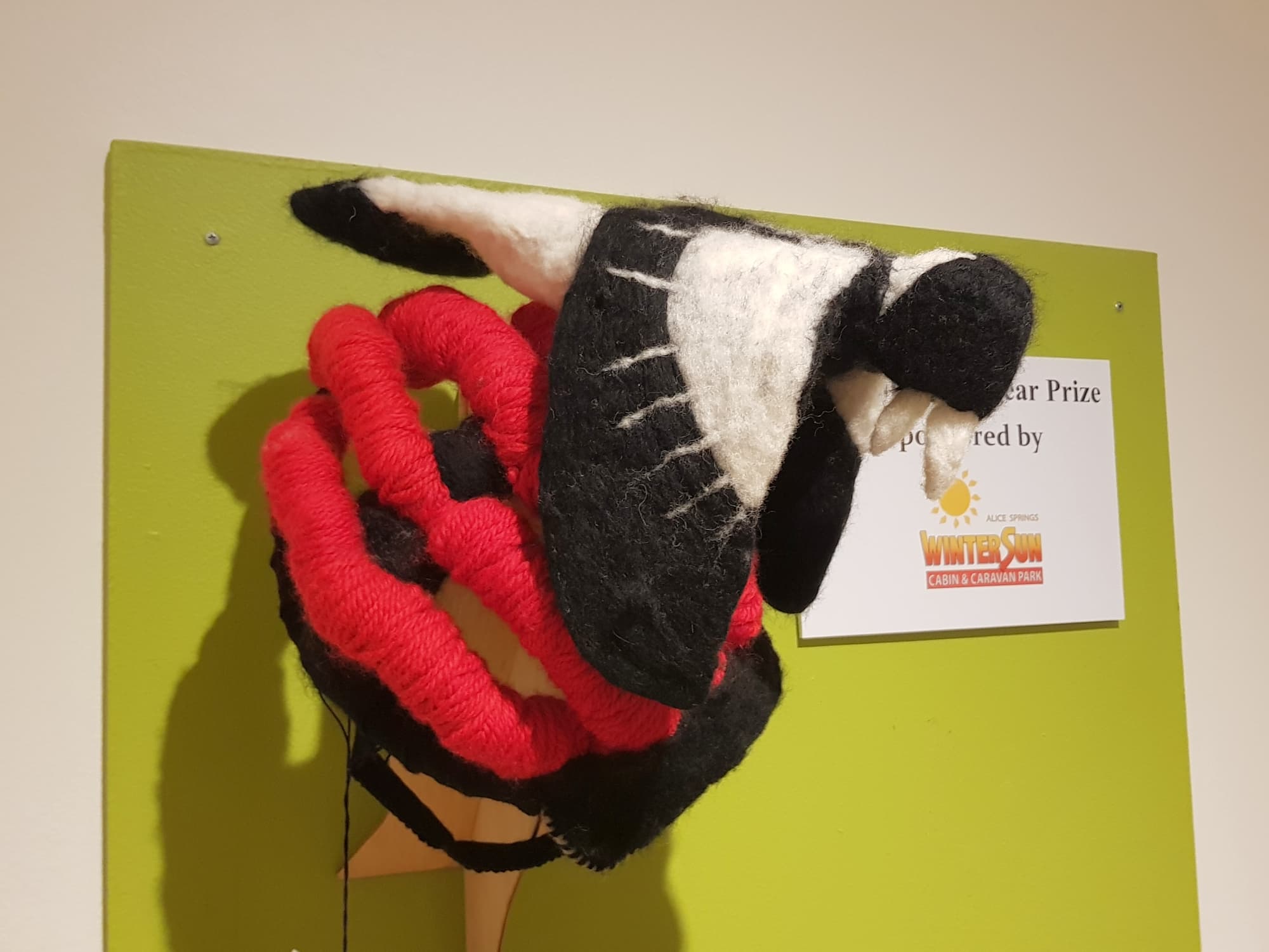 One Fowl Swoop by Charlote, Madison and Jasmine (The Alice Springs Steiner School), Alice Springs Beanie Festival 2025