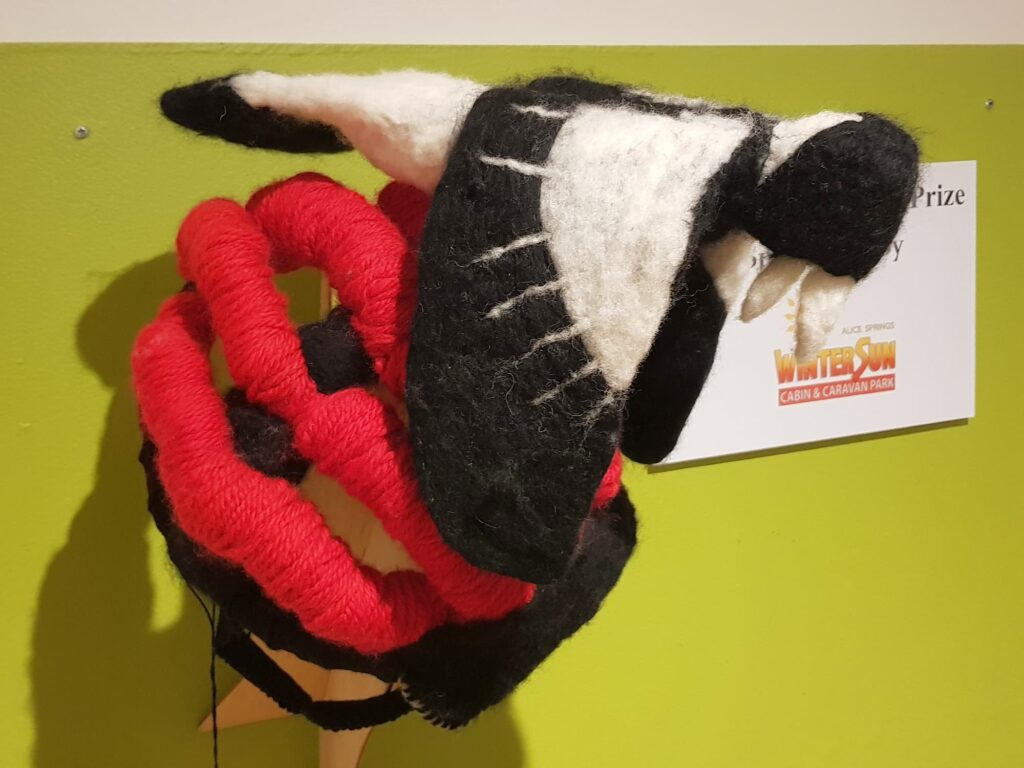 One Fowl Swoop by Charloote, Madison and Jasmine (The Alice Springs Steiner School), Alice Springs Beanie Festival 2025