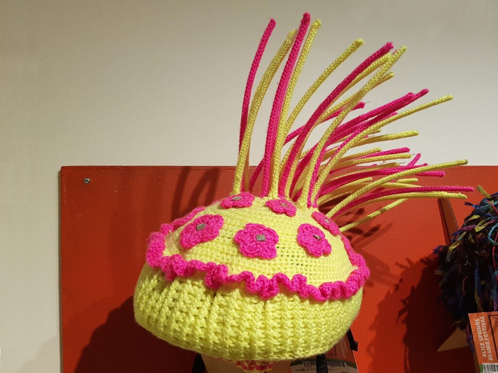 Hi Viz, Anti Magpie Beanie Bike Helmet by Debbie Petersen, Tantawangalo Candelo NSW - Alice Springs Beanie Festival 2024