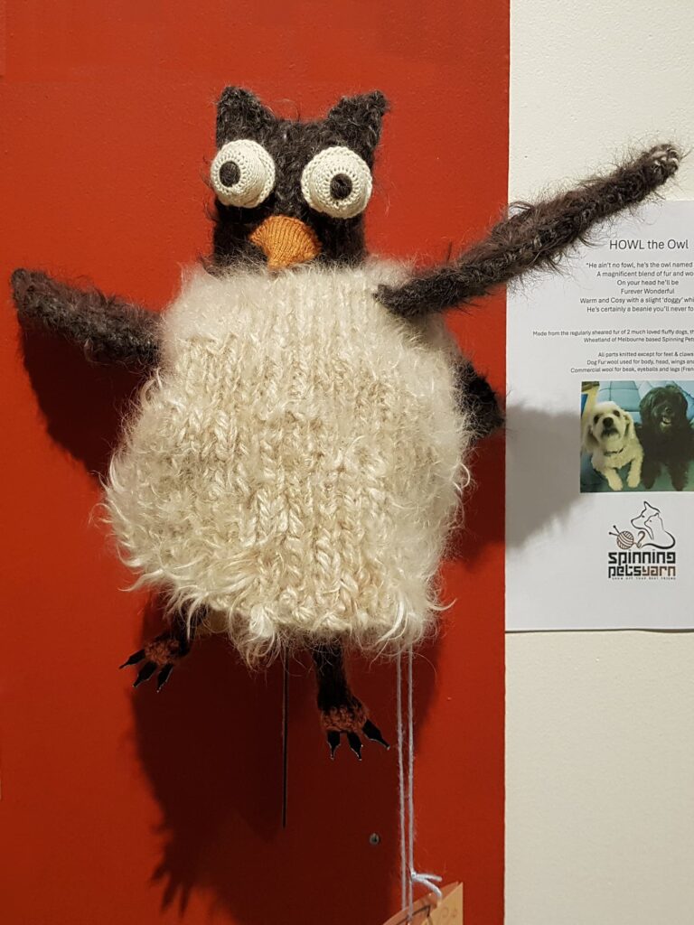 HOWL the Owl by Tim Henderson, Alice Springs NT - Alice Springs Beanie Festival 2025