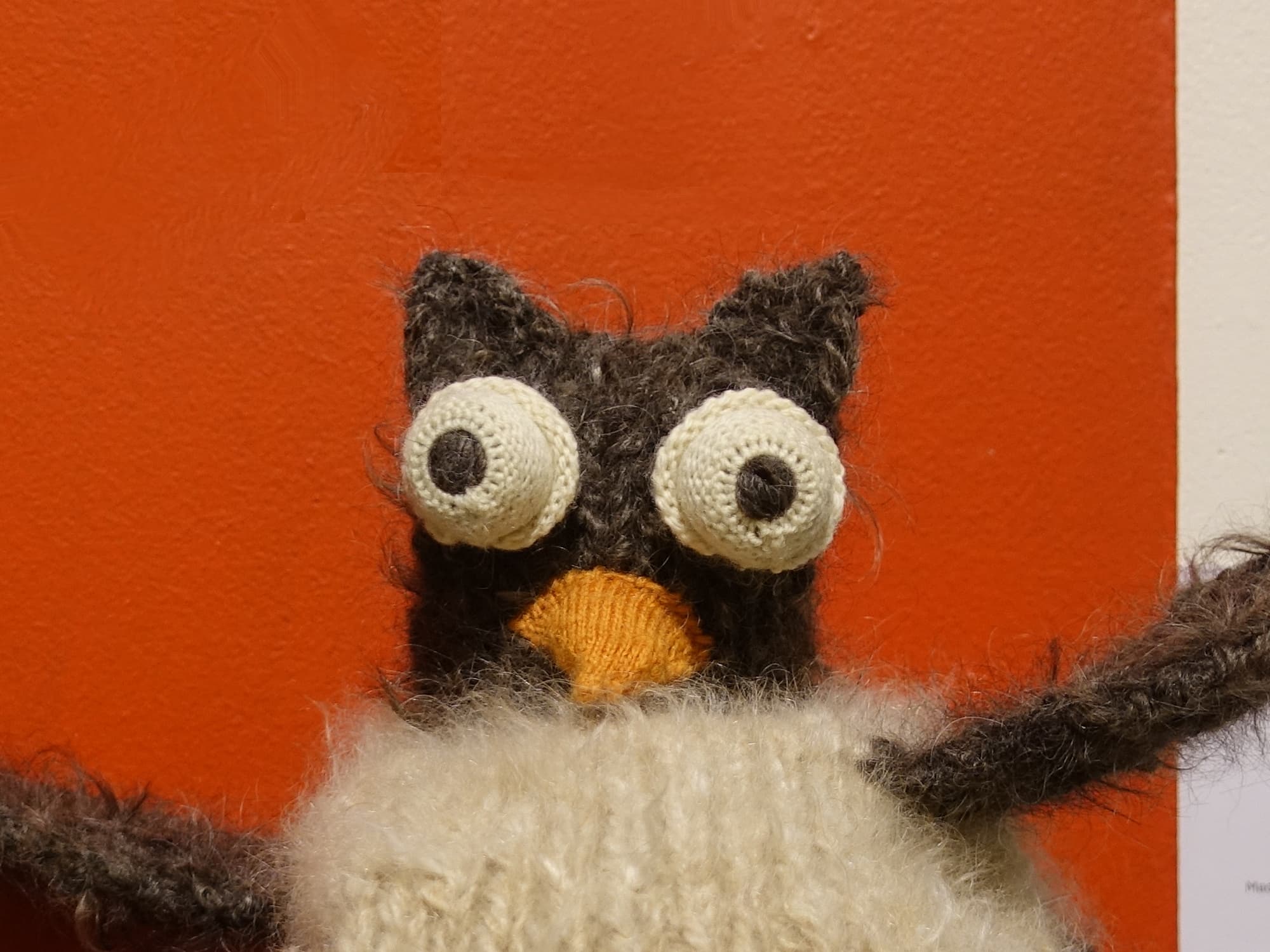 HOWL the Owl by Tim Henderson, Alice Springs NT - Alice Springs Beanie Festival 2025