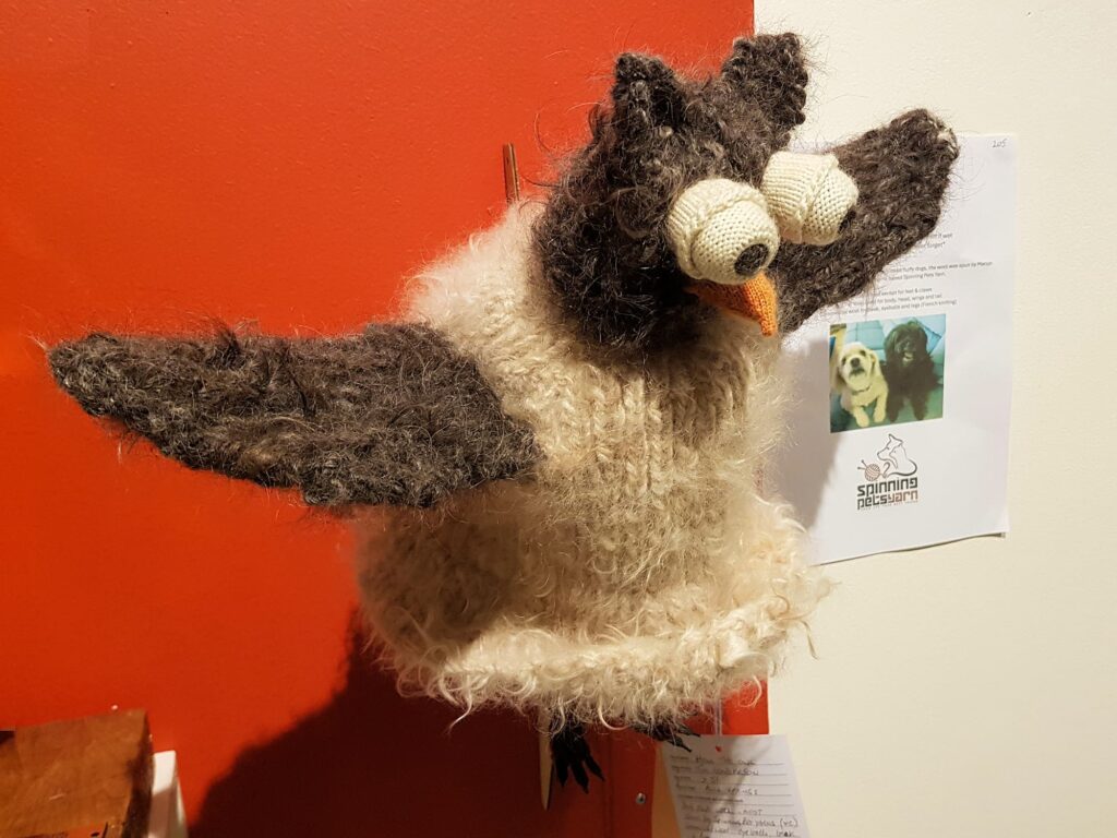 HOWL the Owl by Tim Henderson, Alice Springs NT - Alice Springs Beanie Festival 2025