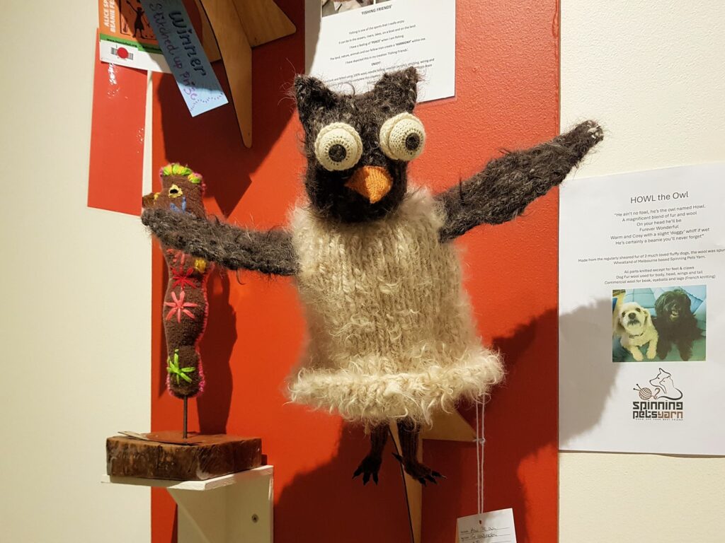 HOWL the Owl by Tim Henderson, Alice Springs NT - Alice Springs Beanie Festival 2025