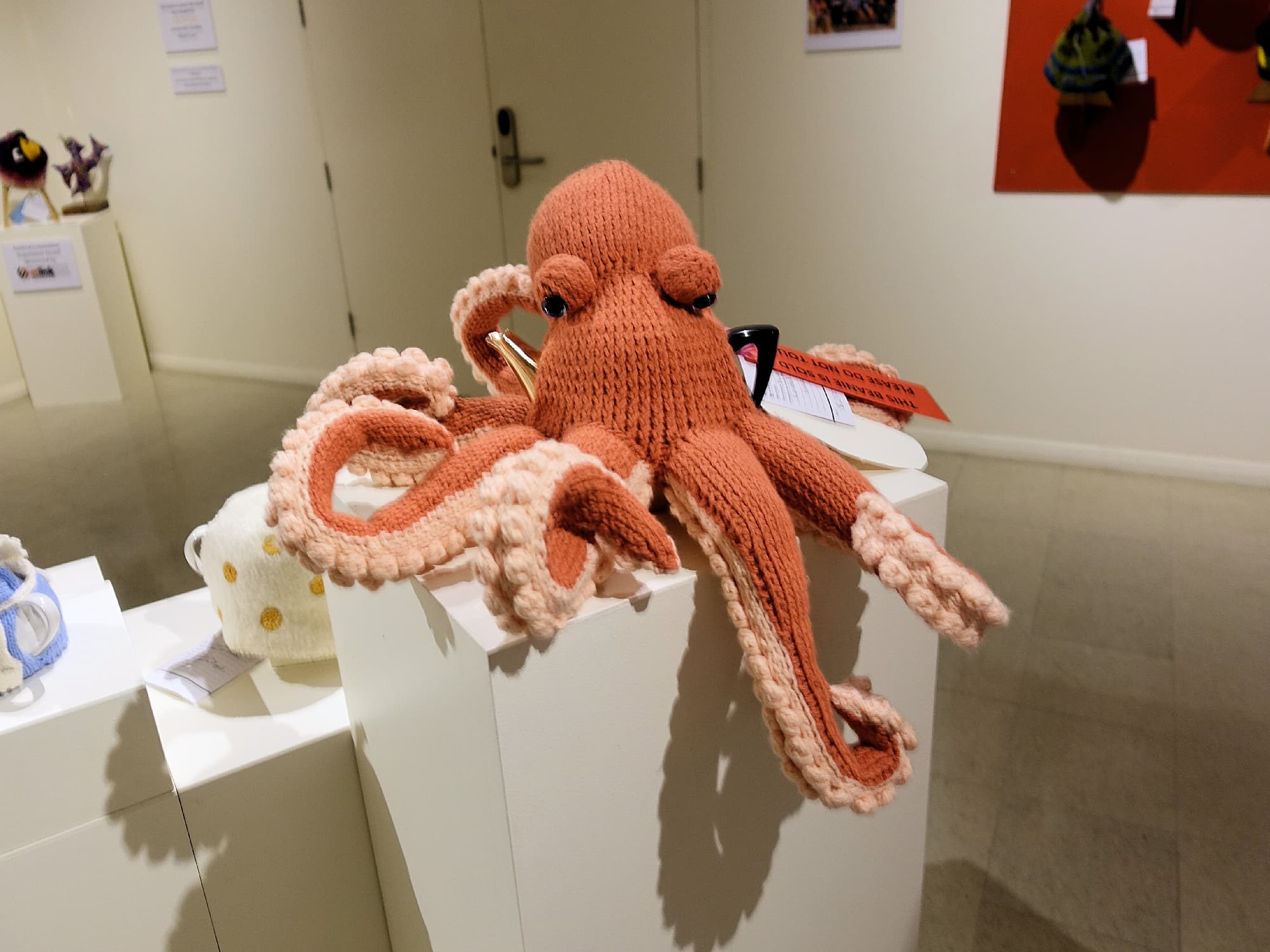 Octavius by Anna Reid, Bright VIC, Alice Springs Beanie Festival 2025