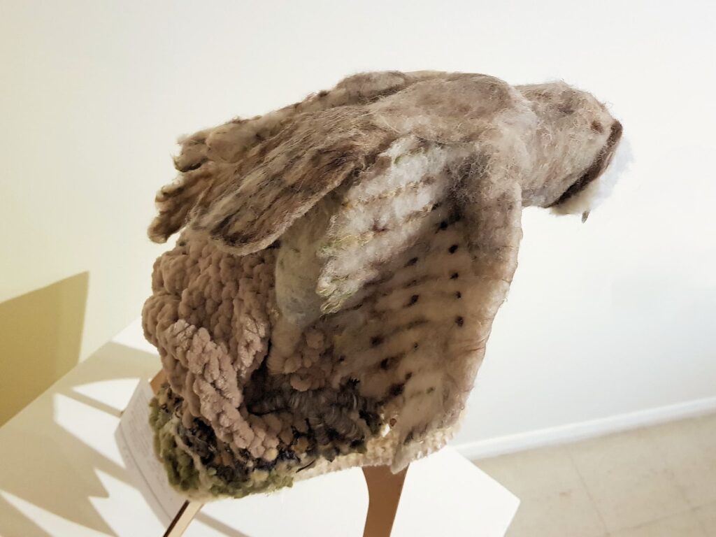 Sporting Owl by Lorraine Boomer, Moonta Bay SA, Alice Springs Beanie Festival 2025