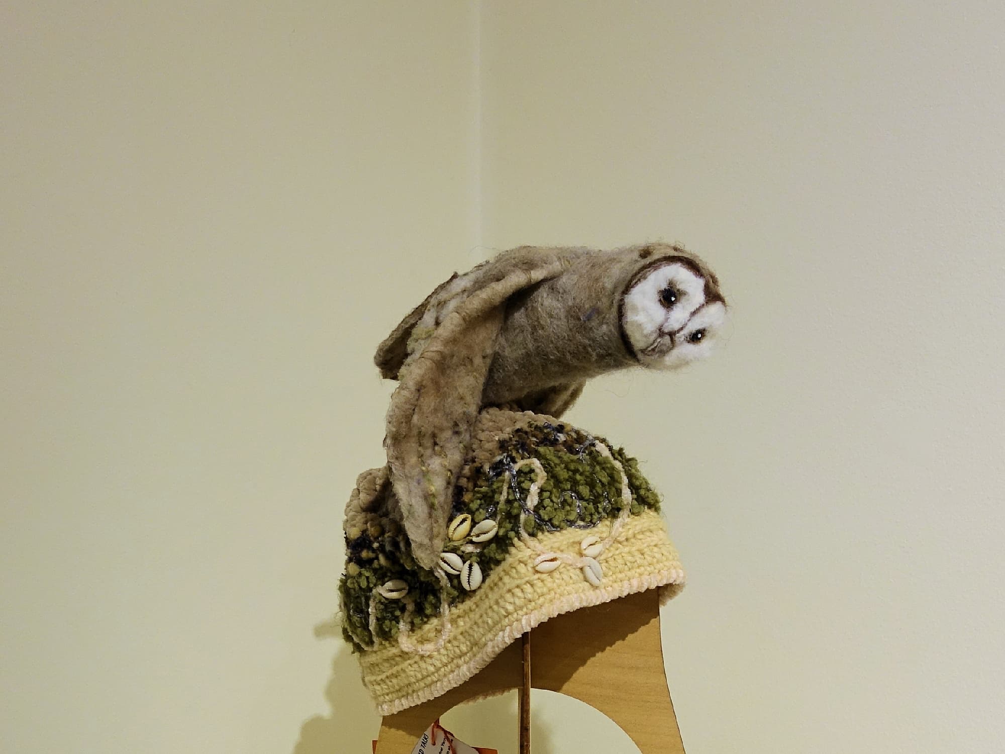 Sporting Owl by Lorraine Boomer, Moonta Bay SA, Alice Springs Beanie Festival 2025