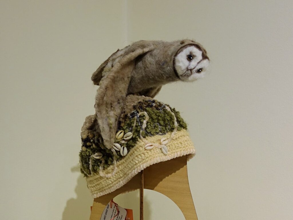 Sporting Owl by Lorraine Boomer, Moonta Bay SA, Alice Springs Beanie Festival 2025
