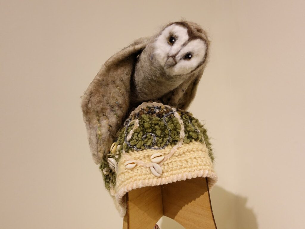Sporting Owl by Lorraine Boomer, Moonta Bay SA, Alice Springs Beanie Festival 2025