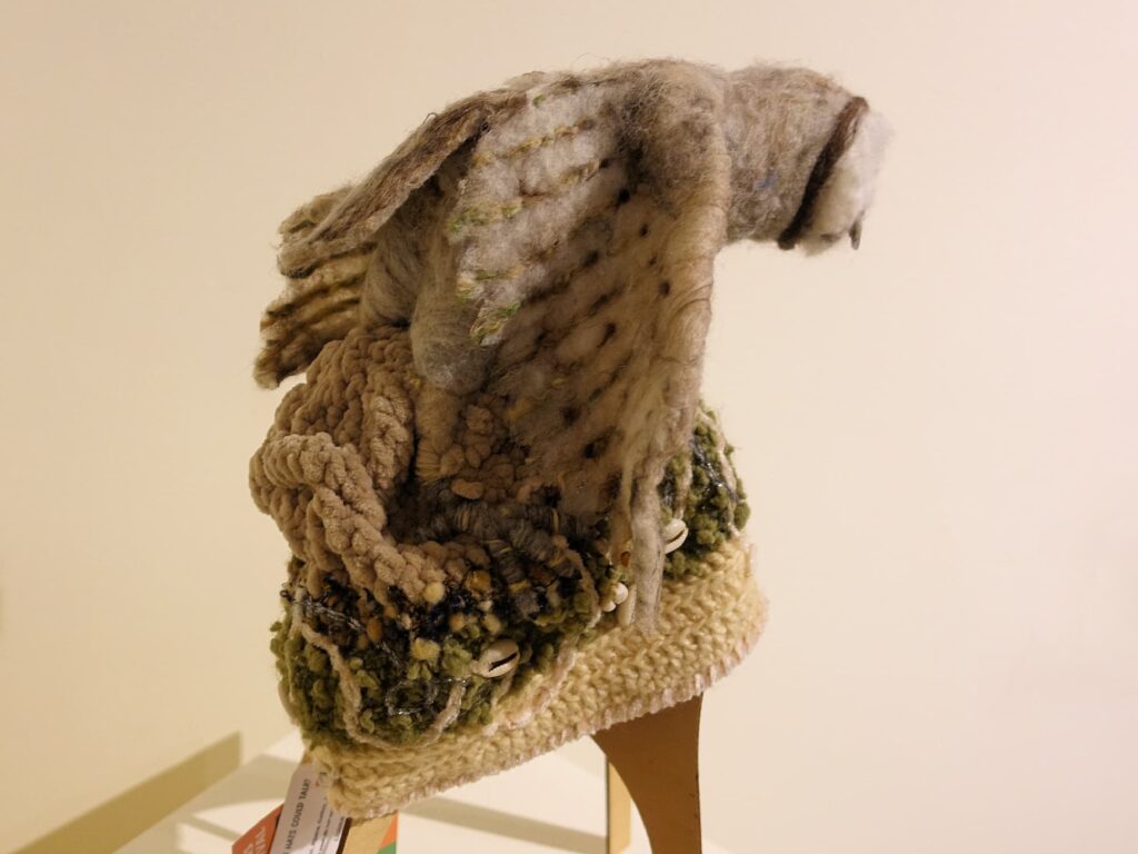 Sporting Owl by Lorraine Boomer, Moonta Bay SA, Alice Springs Beanie Festival 2025