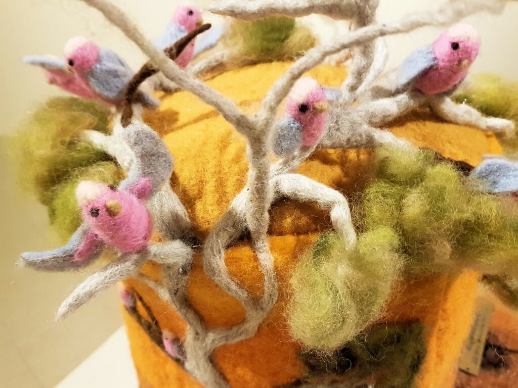 Vet Mob by Dr Clemence King, Alice Springs NT, Alice Springs Beanie Festival 2025