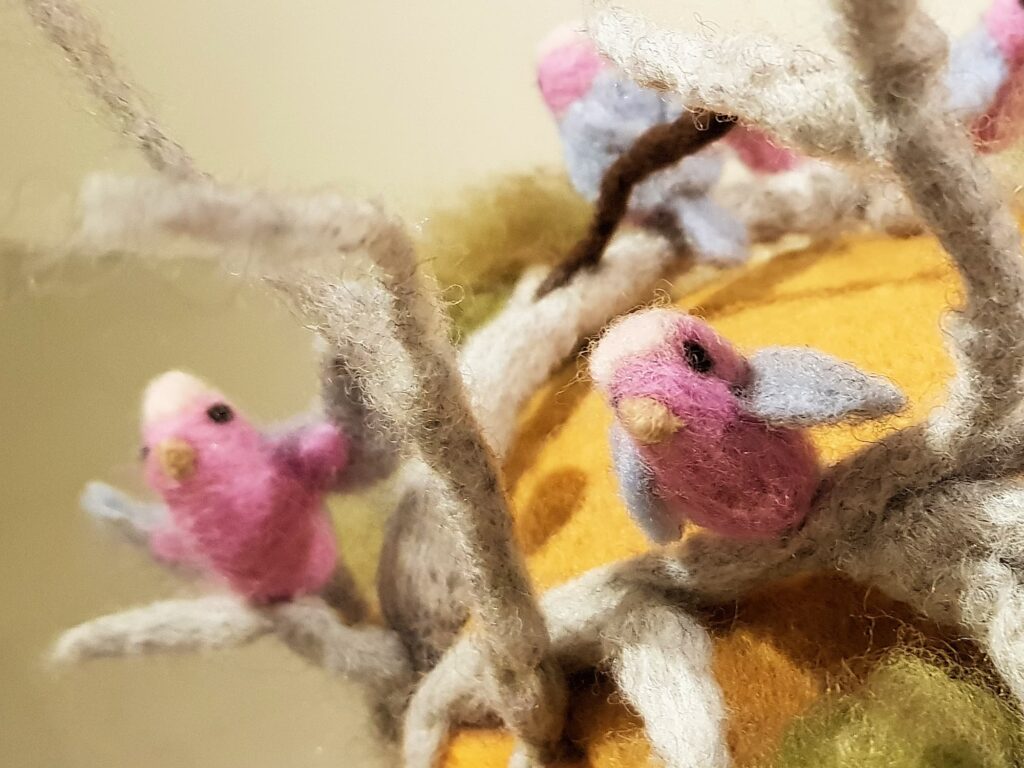 Vet Mob by Dr Clemence King, Alice Springs NT, Alice Springs Beanie Festival 2025