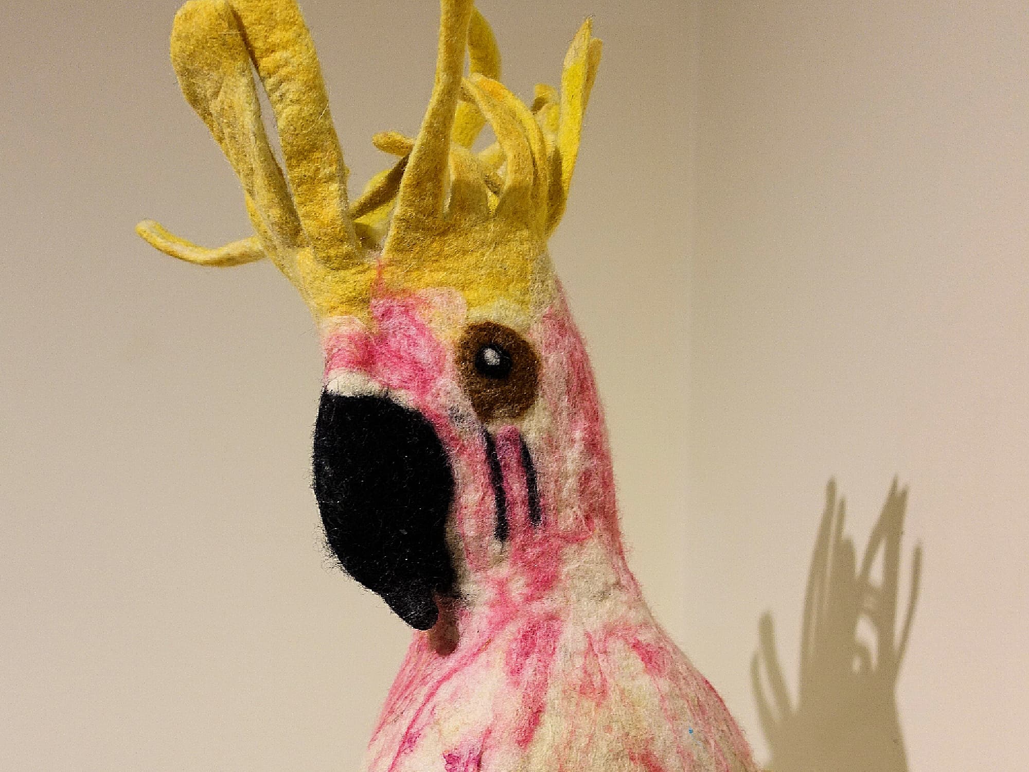 White Cockatoo by Nora Campbell, Alice Springs Beanie Festival 2019