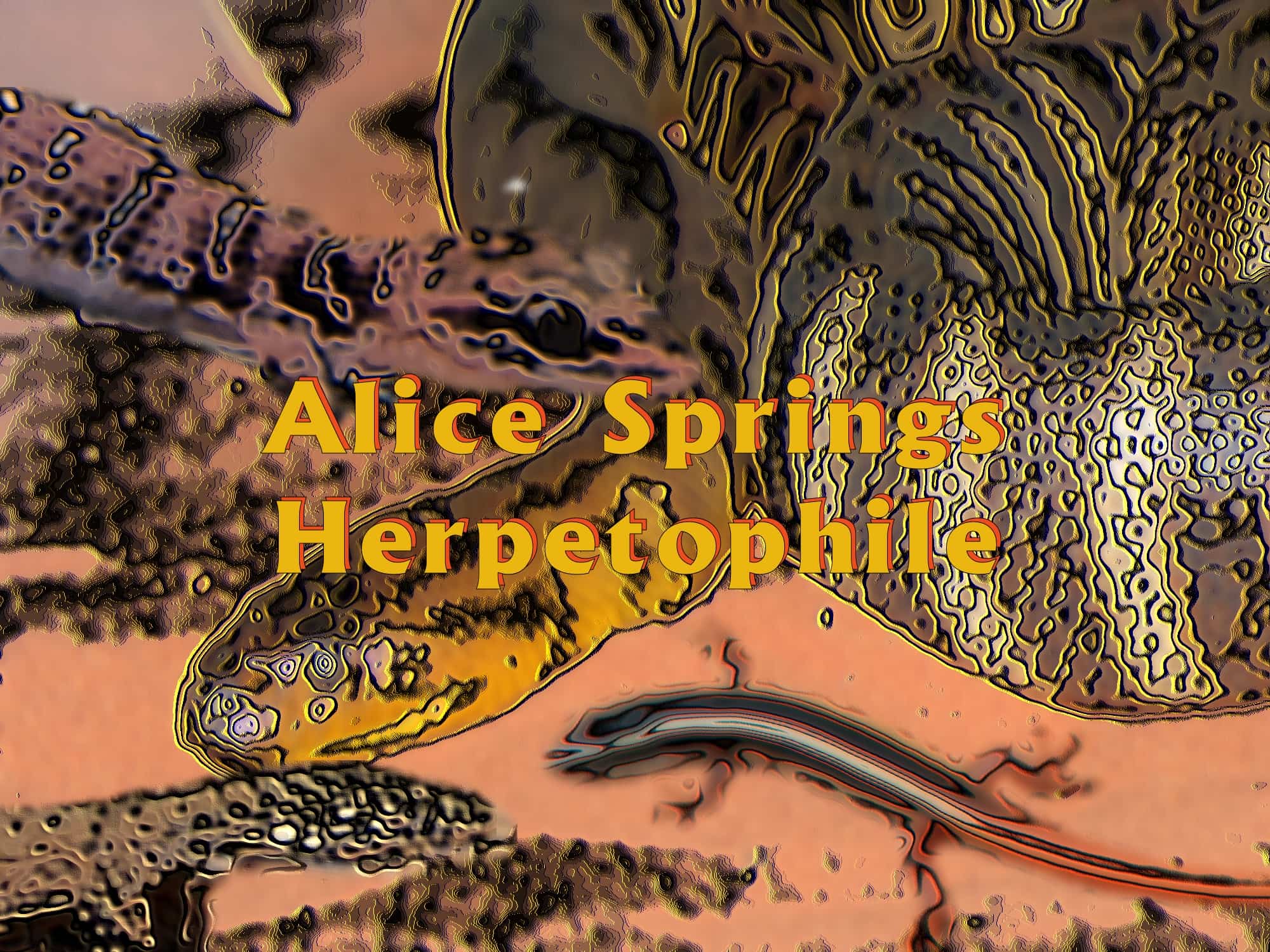 Alice Springs Herpetophile