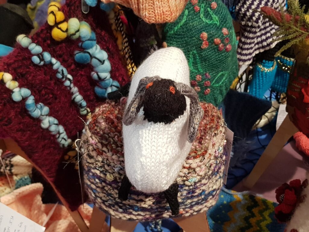 'Rambo' by Rita Matthews-Carlyle, Middleton SA, Alice Springs Beanie Festival 2025