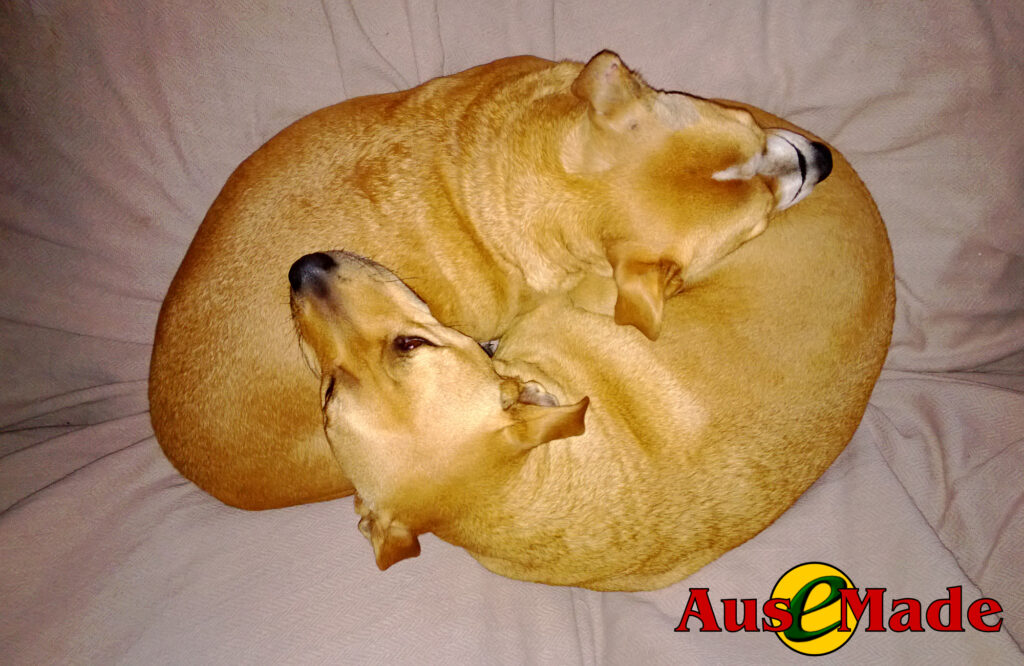 Pup and Ro - Ausemade