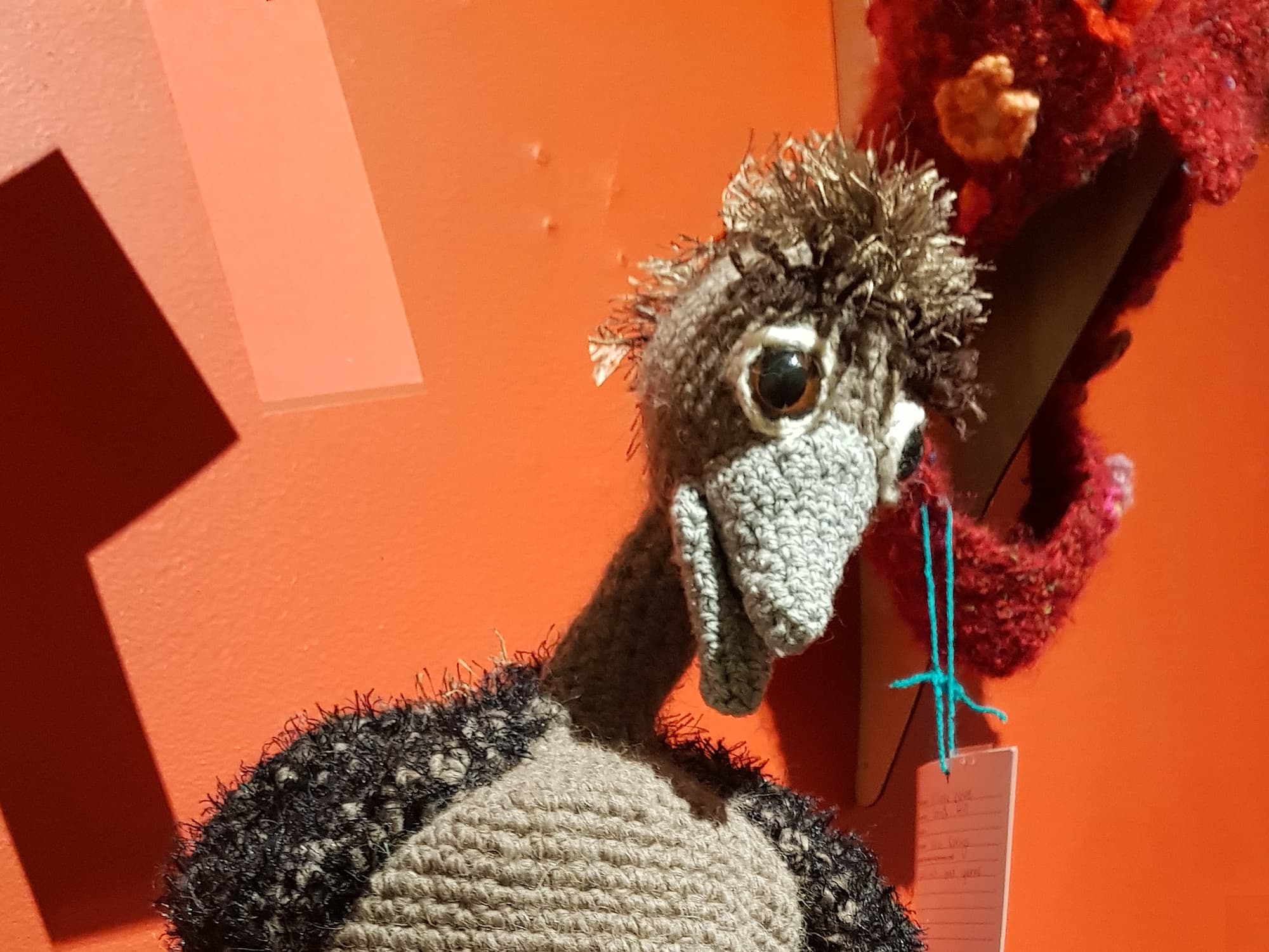 Timmy by Jan Denley, Alstonville NSW