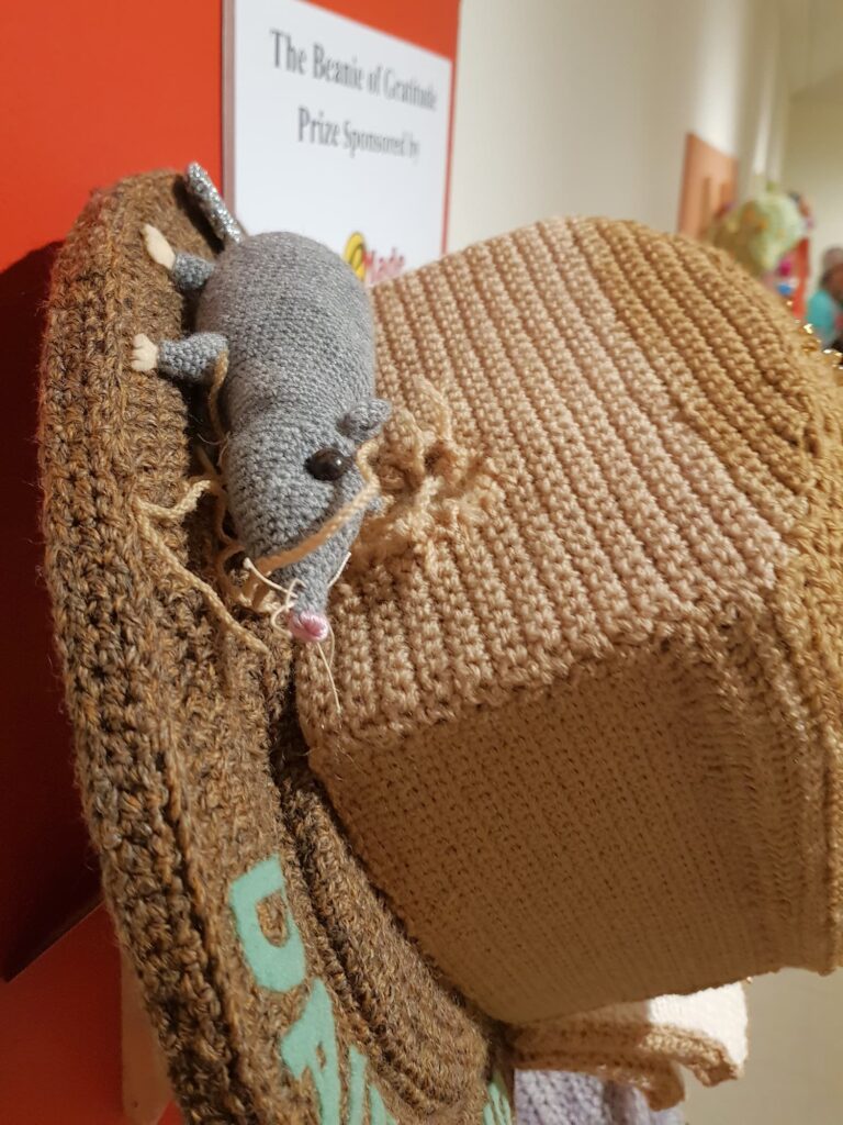 Mouse from the Daily Bread by Kristin Phillips, South Australia, Alice Springs Beanie Festival 2026