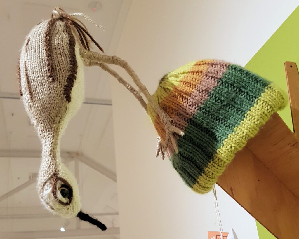 Thankew curlew by Emily Stephenson, Darwin, NT, Alice Springs Beanie Festival 2026