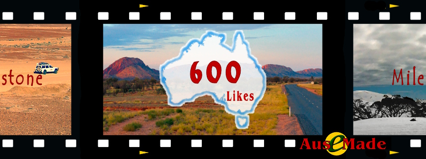 Ausemade Facebook Likes 600