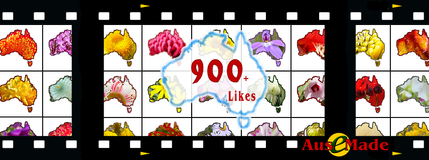Ausemade Facebook Likes 900