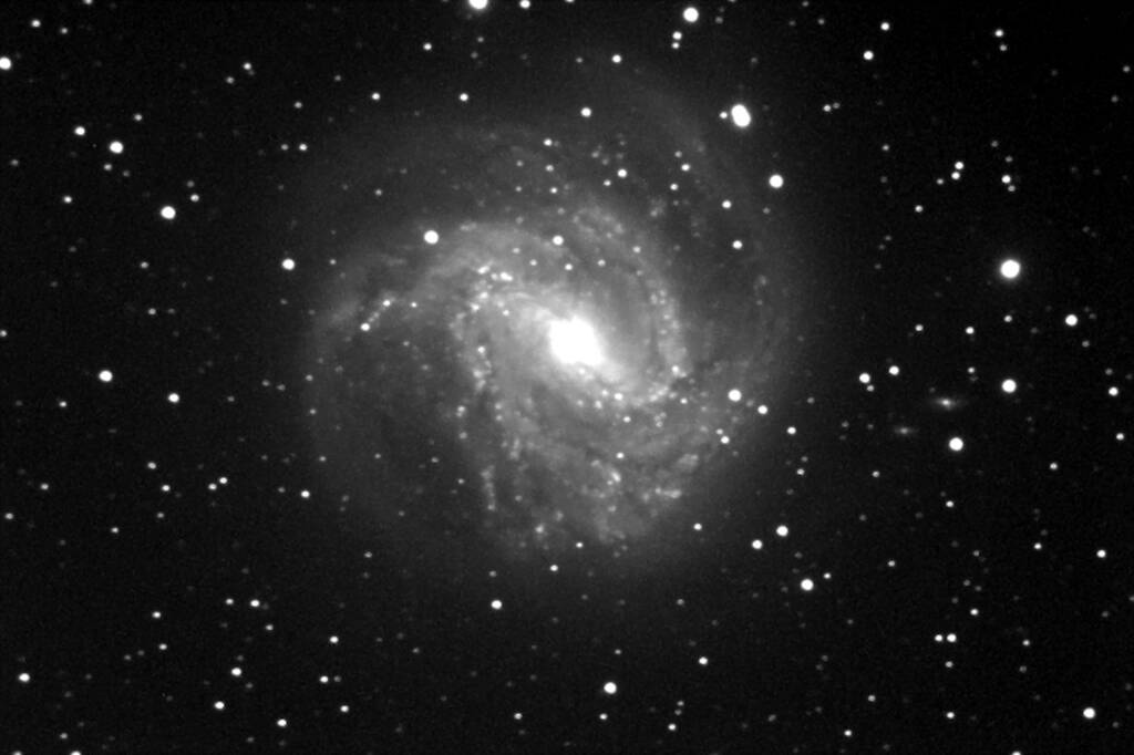 Messier 83 (black and white) - "Baker Observatory" - Photographer © Darren Chase, Woomera
