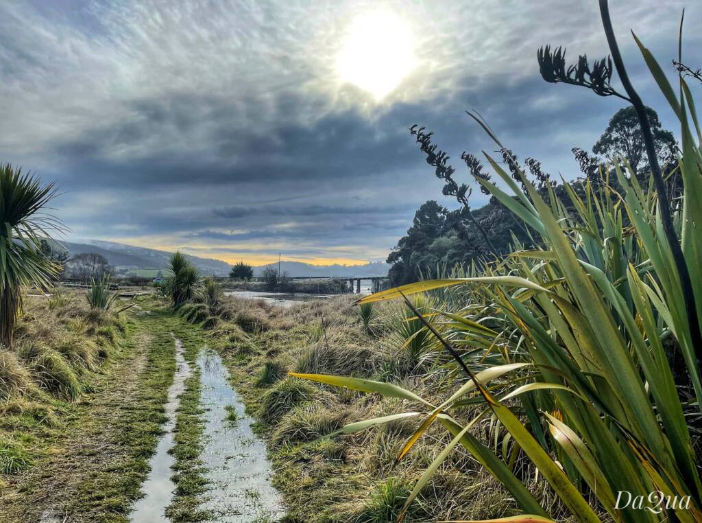 Orokonui Lagoon Walk, Waitati, Otago, New Zealand