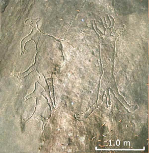 Mosaic image of the Rock Engravings at Terrey Hills, NSW