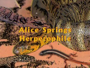 Alice Springs Herpetophile