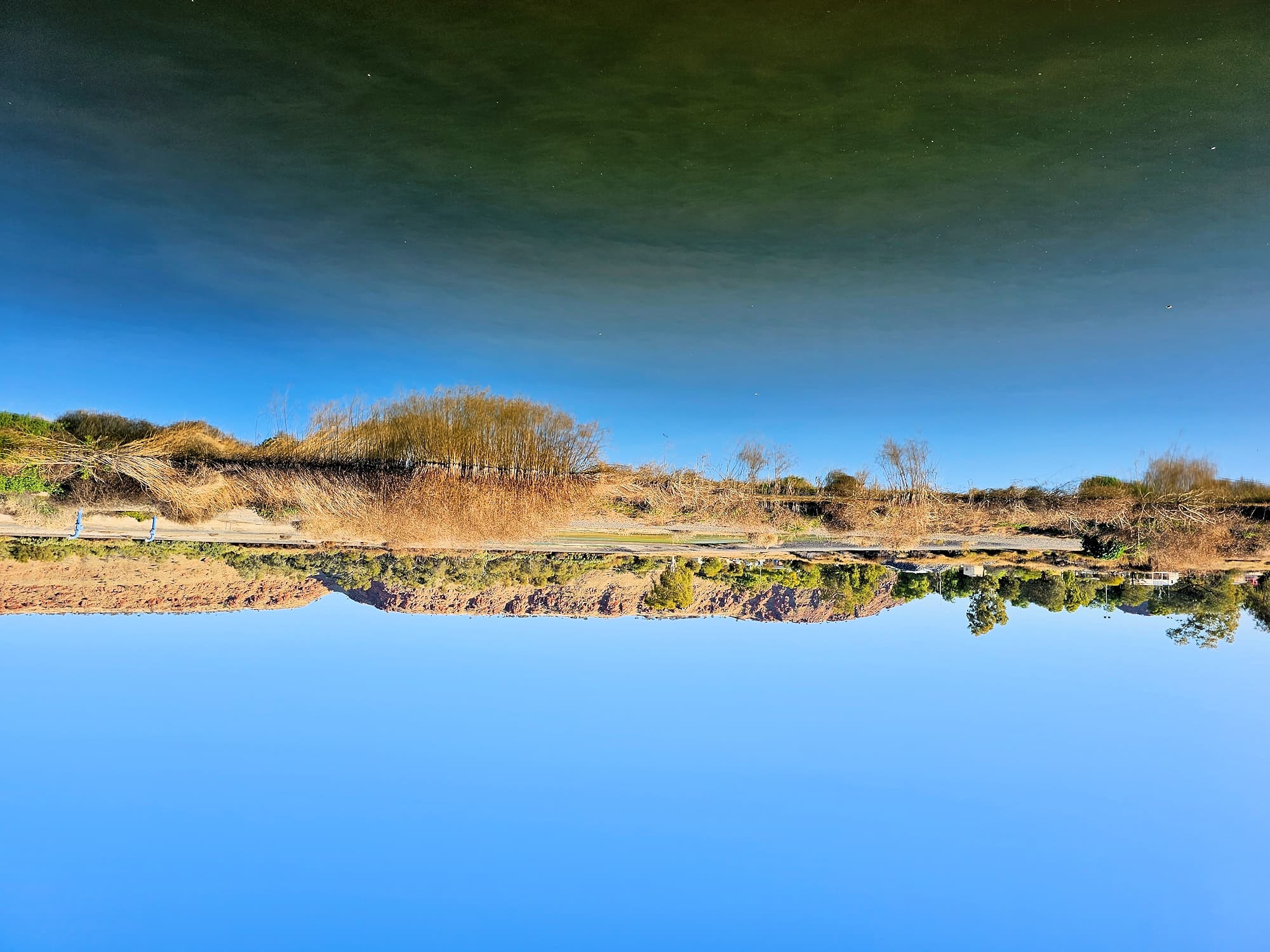 Early morning at the Alice Springs Sewage Ponds NT (0855 am July) © Dorothy Latimer