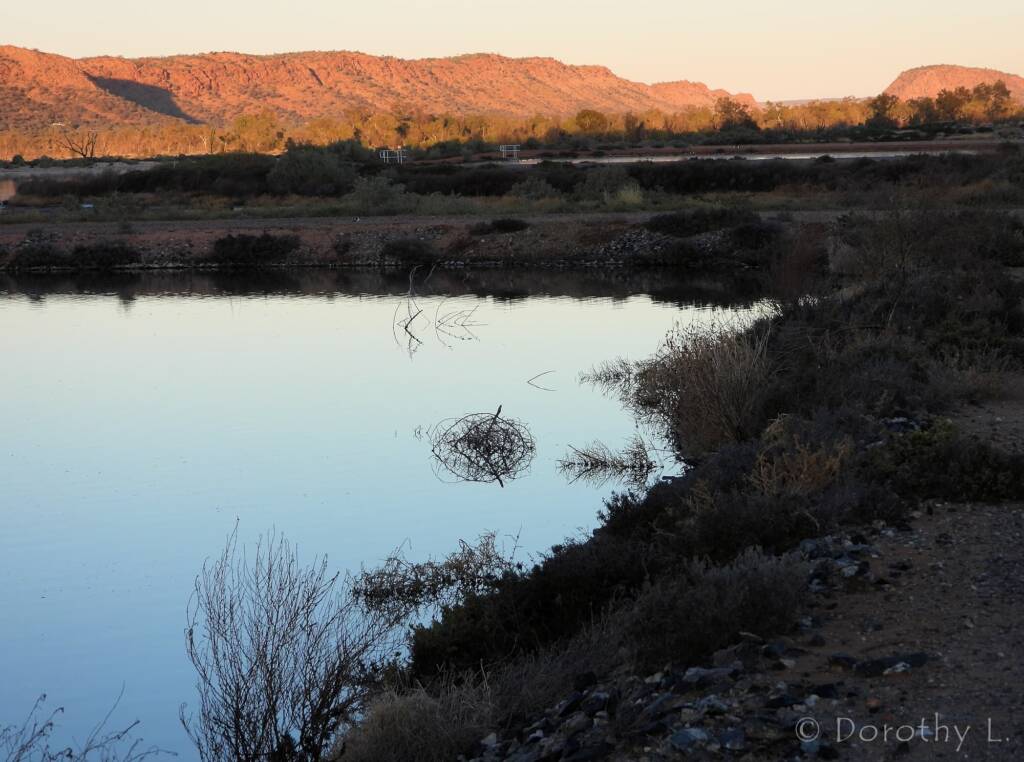 Alice Springs Sewage Ponds, Central Australia, NT