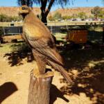Chainsaw art and wood work at the Alice Springs Show
